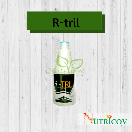 R-TRAIL