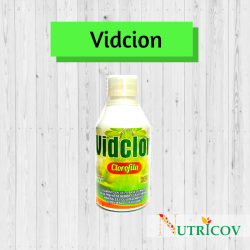 vidcion