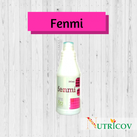 FENMI