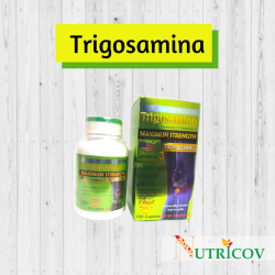TRIGOSAMINA