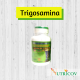 TRIGOSAMINA